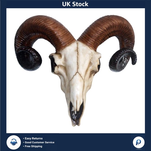 Realistic faux ram skull - realistic,