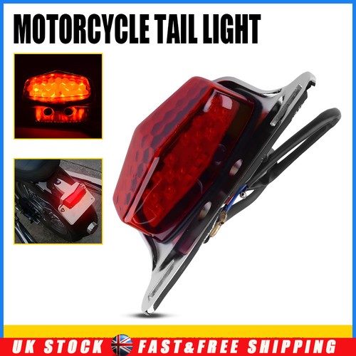Rear license plate light - rear,
