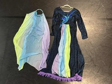 Medieval Style Princess Dress for Panto Dame