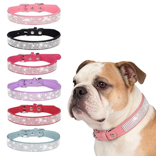 Dog cat collar suede - cat,