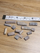 15 Crinoid Fossils Dinosaur Age Great Christmas or birthday Gift idea Ref701