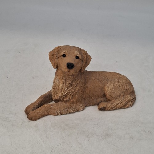 Sandicast golden retriever - sandicast,