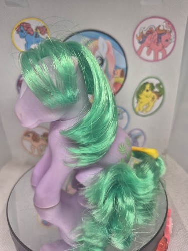 Little pony seashell - pony,
