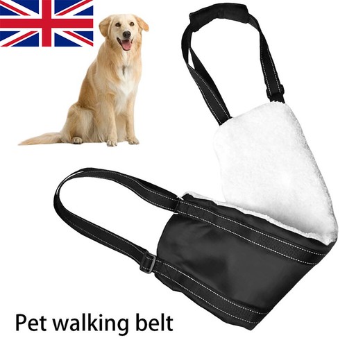Large dog mobility aids - uk,