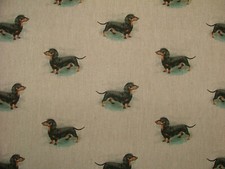 Sausage Dog Dachshund Fabric