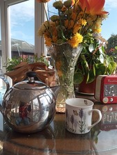 Stainless Steel Teapot ( 6