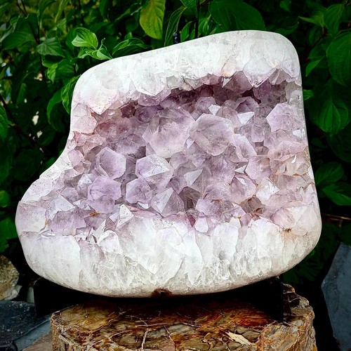 Large amethyst cluster with - large,