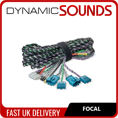 Focal harness connection - focal,