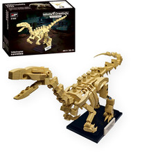 Velociraptor Dinosaur Fossil