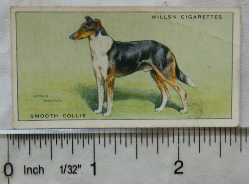 1937 wills dogs 10 smooth - 1937, no.