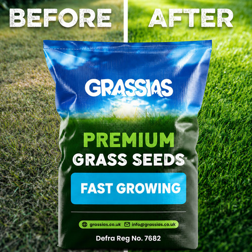 Fast growing grass - fast,