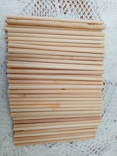 100 round wooden lolly - 100,