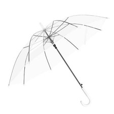 Clear Umbrella Transparent