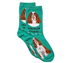 Springer Spaniel Foozys Fun
