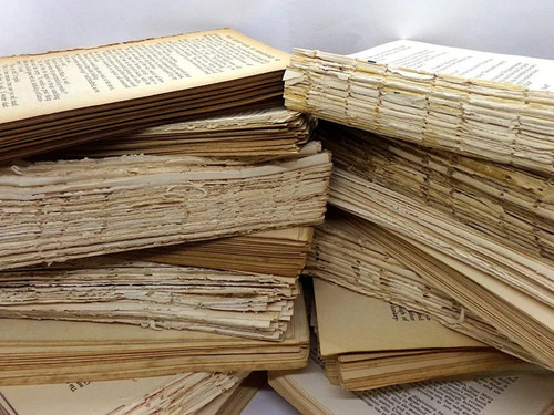 Aged book pages 100 old - ,