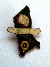 Lions Club International Pin