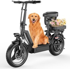 Folding Electric Scooter for