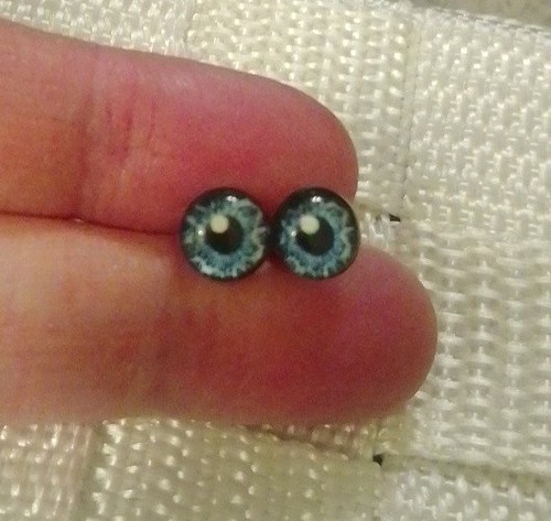 Blue iris eye - iris,