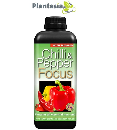 Chilli pepper focus - pepper, liquid