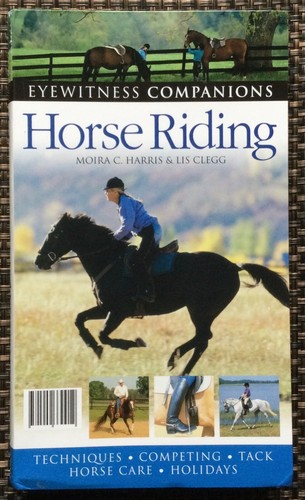 Horse riding eyewitness - horse,