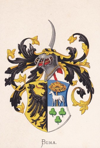 Buma coat arms - coat, of