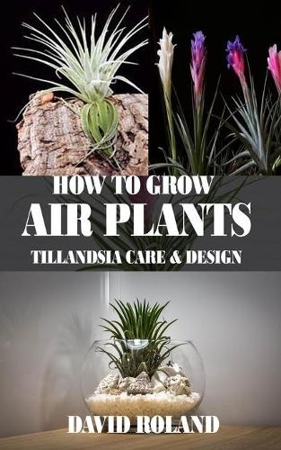 David roland how grow air - roland,