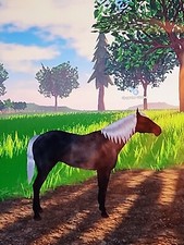 Blue Roan (Quarter Horse) Wild