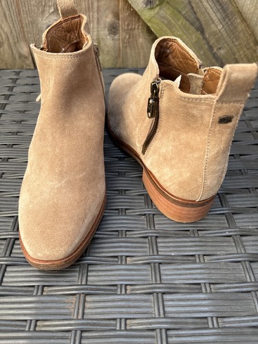 Dune london taupe suede low - dune,
