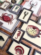 Aquatic Reverse Glass