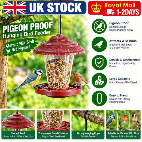 Hanging bird feeder - hanging,