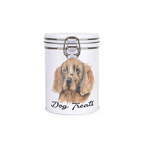 Irish setter dog - irish,