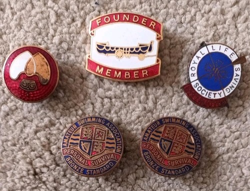 Vintage enamel badges - enamel,
