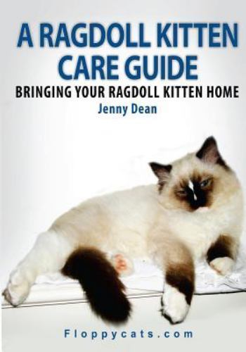 Ragdoll kitten care guide - a,