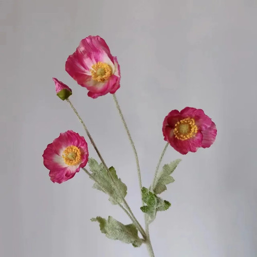 Heads artificial poppy - artificial,