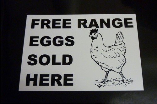Funny sign free range eggs - sign,