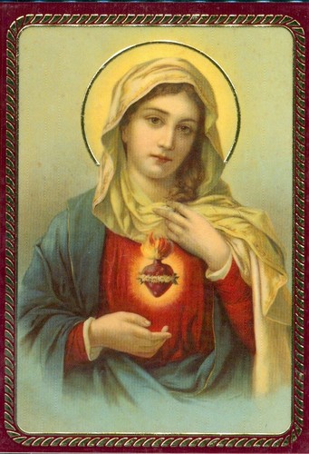 Immaculate heart mary - immaculate,