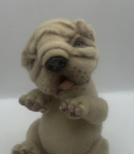 Irina fedi english - fedi, bulldog