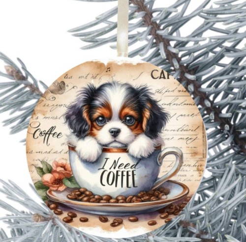 King charles cavalier spaniel - king,
