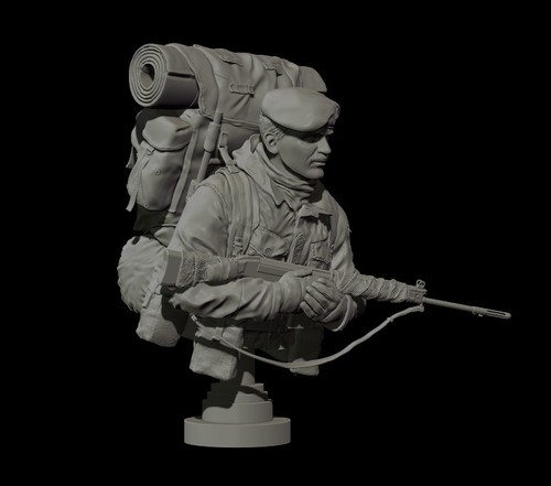 Royal marine bust falklands - marine,