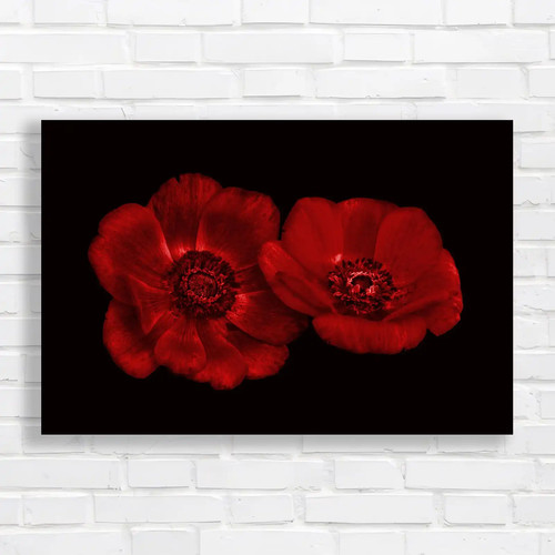 Two flowers red canvas print - two,