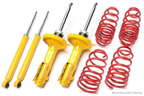 Technix sport coilover - technix,