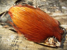 Irish Fly Supplies  Domestic Cock Neck Red Game, hackle, Cape, Bumble.
