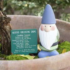 Weather Forecasting Terracotta Colourful Gnome Garden Gift Humour Ornament