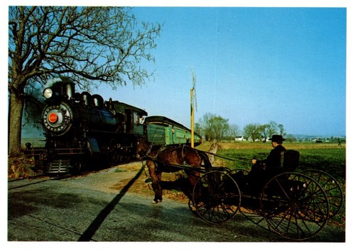Amish buggy waits strasburg - amish,