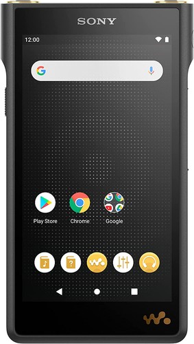 Sony nwwm1am2 res - hi-res, 128gb
