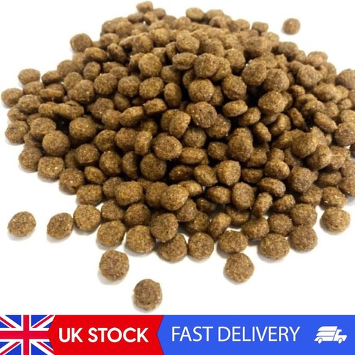 5kg complete hedgehog food - complete,