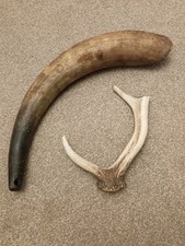 Vintage horns cow deer - cow,