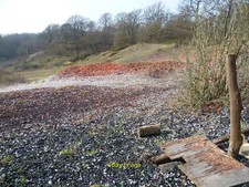 Photo 6x4 Relics of clay