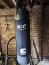 30kg Everlast Punch Bag, Great