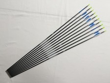 10 x Easton ACE 1206H Series Arrows - 26.25" - 620 Spine - With Points And Nocks